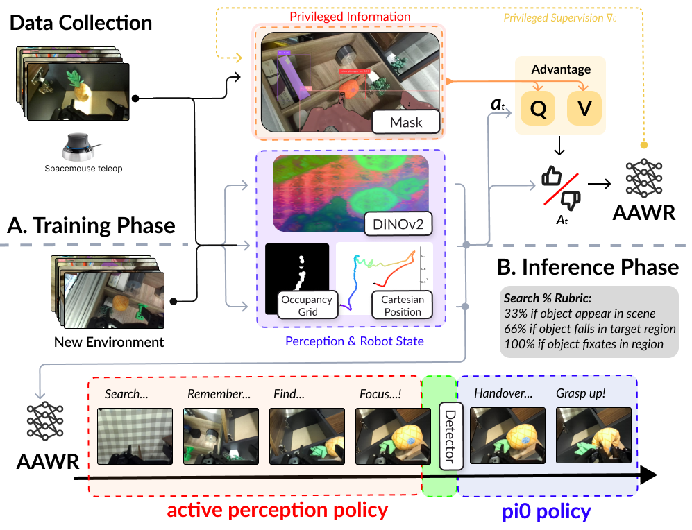 AAWR: Real World Reinforcement Learning of Active Perception Behaviors
